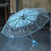 210461527-838525788 Transparent Umbrella