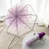 Transparent Umbrella