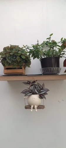 Swing Face Wall Pot