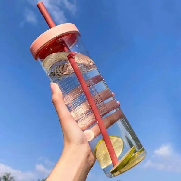 4 Fruit Infuser Bottle