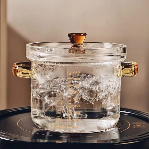 4 Transparent Cooking Pot
