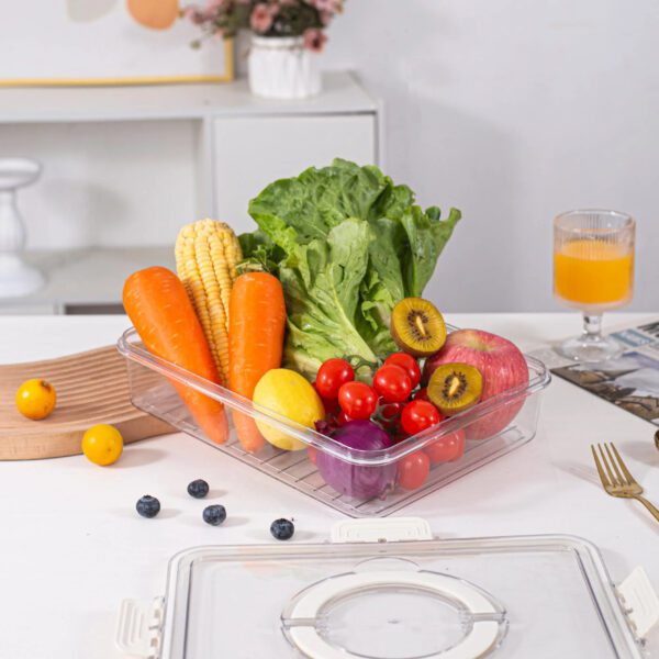 4 Portable Snack Tray