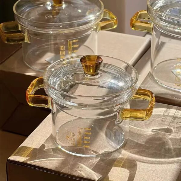 5 Transparent Cooking Pot