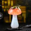 2 Mushroom Cocktail Glass Cup