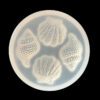 Selfish And Conch Silicone Mold