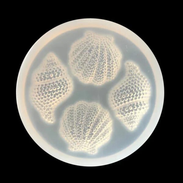 Selfish And Conch Silicone Mold