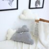 3 3D Cloud Pillows