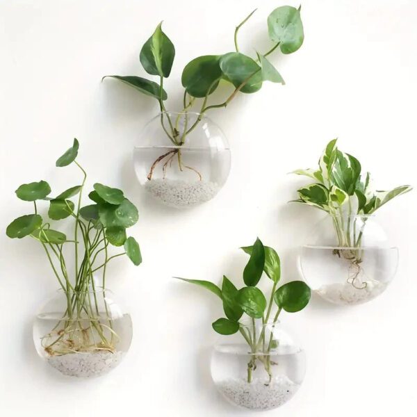 3 Plant Terrarium Wall-Hanging Glass