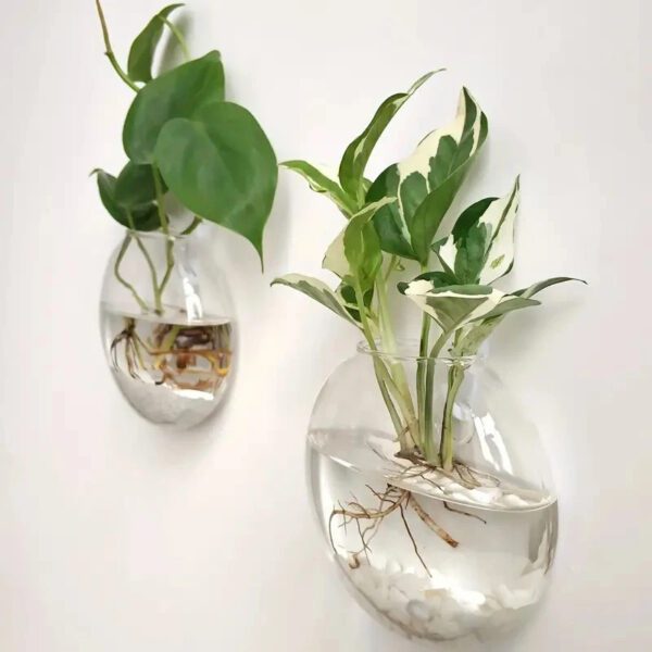 4 Plant Terrarium Wall-Hanging Glass