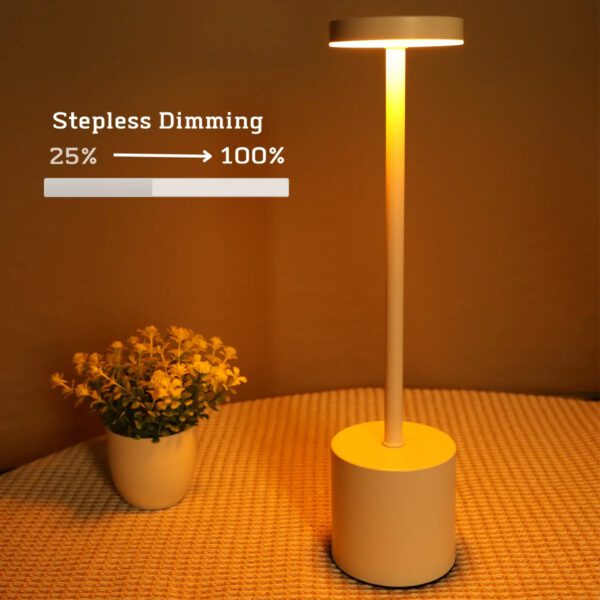 5 Rechargeable Desk Writing Lamp