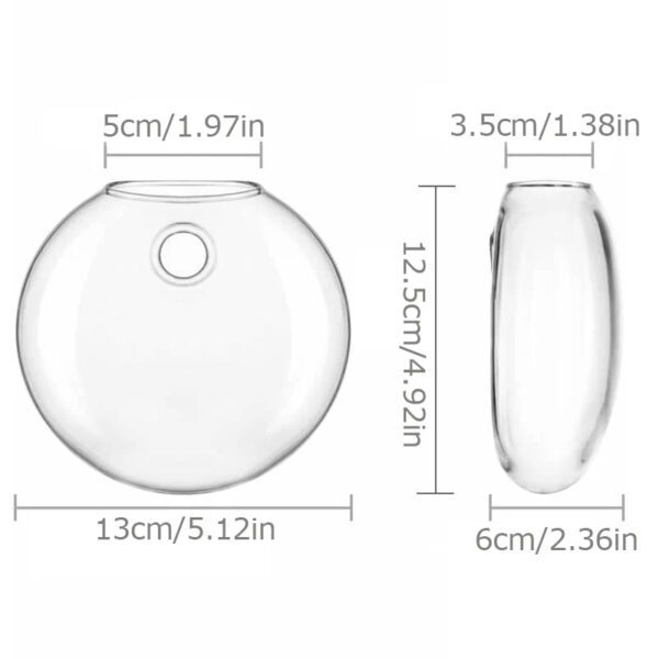 6 Plant Terrarium Wall-Hanging Glass