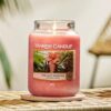 Yankee Candle Classic Medium Jar in Last Paradise