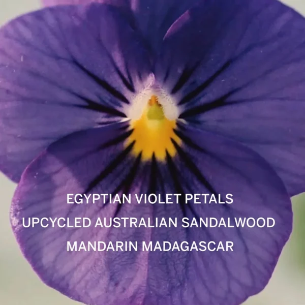 vsbarefragrance_62e25830-05e8-4767-9240-fe8039f6ef7a Bath And Body In To The Night Candle