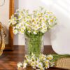 4 White Daisy Flowers