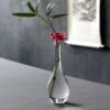 5 Nordic Transparent Glass Vase