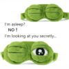 3D Sad Frog Sleep Eye Mask