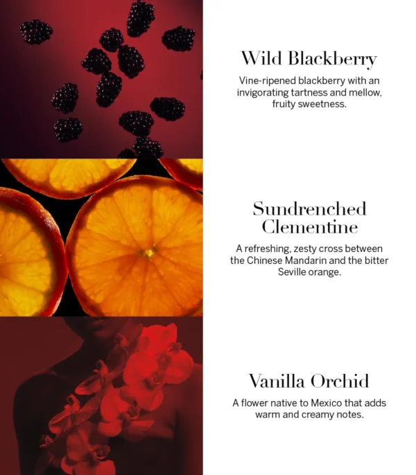 victoriasecretverysexygifttrio3 Victoria's Secret Very Sexy Trio Gift Set