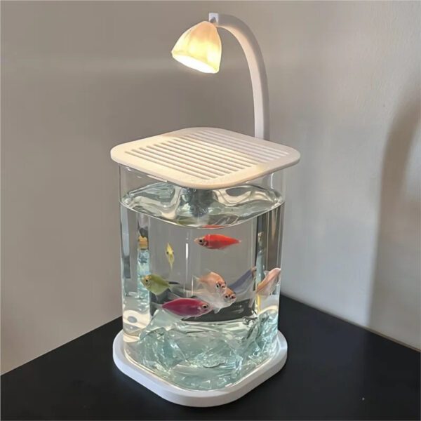 Desktop Fish Aquarium