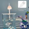 6 Desktop Fish Aquarium