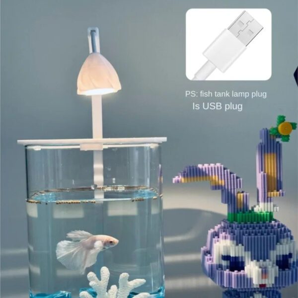 6 Desktop Fish Aquarium