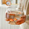 Transparent Round Fish Bowl