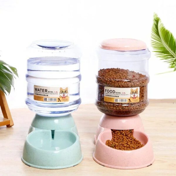 Automatic Feeder And Water Dispenser