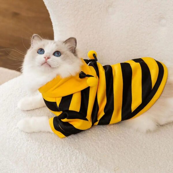 Bee Themed Pet Coat