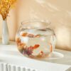 Transparent Round Fish Bowl