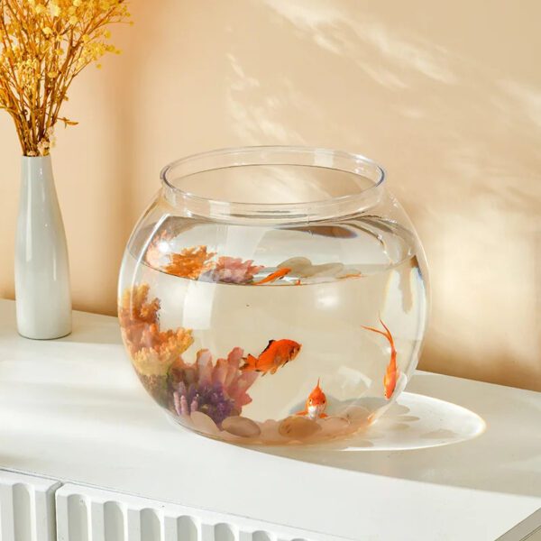 Transparent Round Fish Bowl