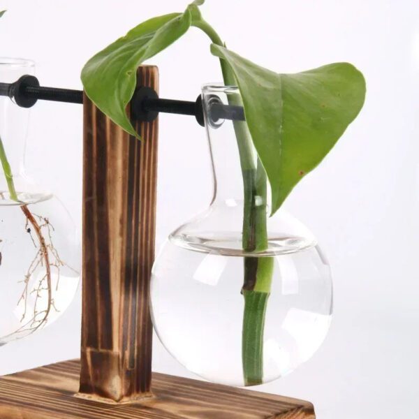 Transparent Bulb Vase