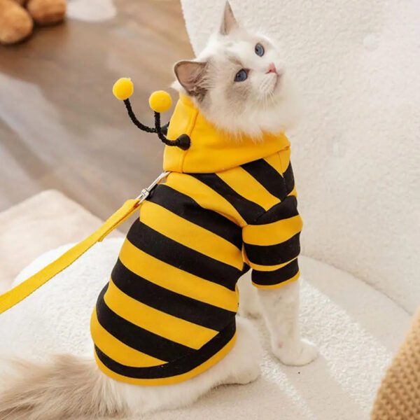 Bee Themed Pet Coat