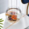 Transparent Round Fish Bowl
