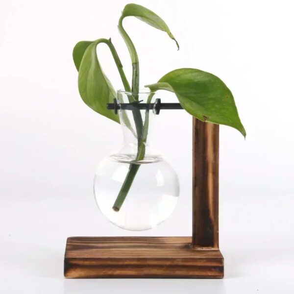 Transparent Bulb Vase
