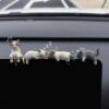 Little Cat Car Ornaments