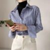 Blue Stripes Cotton Shirt
