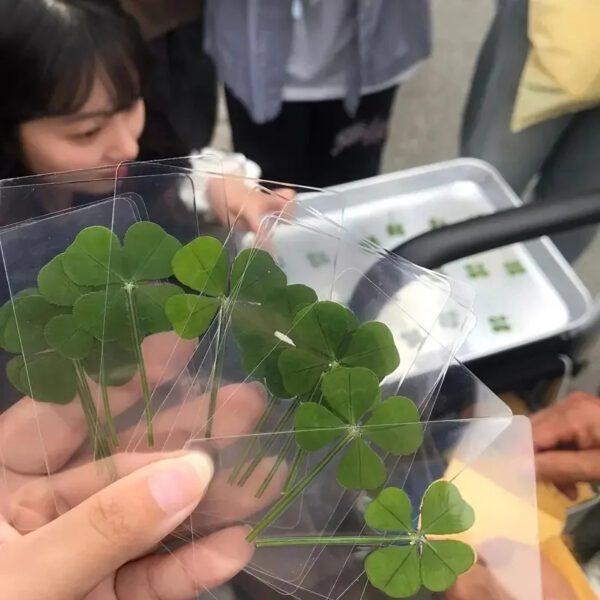 Lucky Clover Bookmarks Set