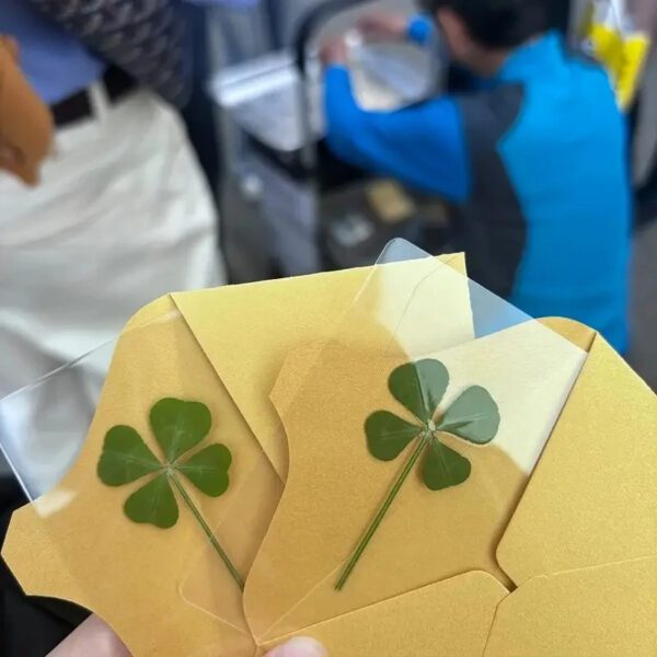 Lucky Clover Bookmarks Set