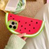3D Watermelon Case