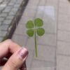 Lucky Clover Bookmarks Set