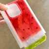 Watermelon Case