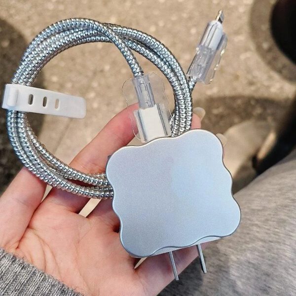 1 Silver Plated Charger Case
