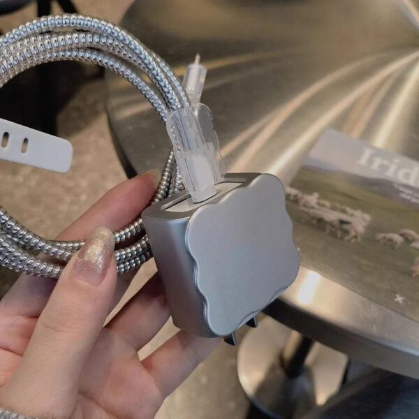 Silver Plated Charger Case