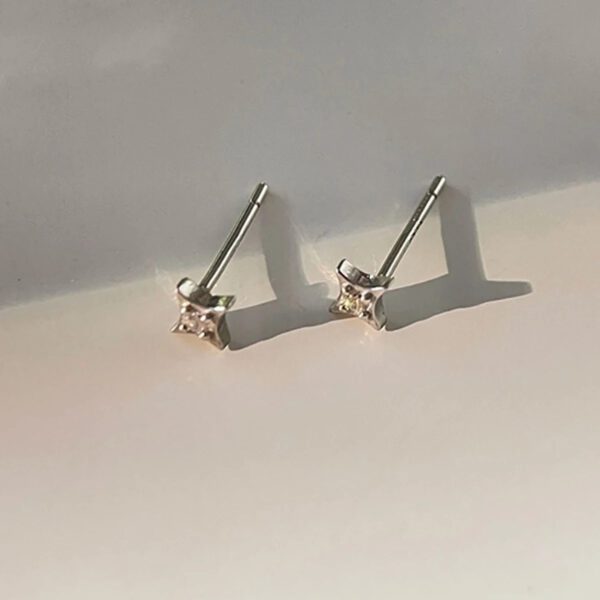 Tiny Star Studs