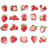 Strawberry Stickers