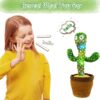 Dancing & Talking Cactus