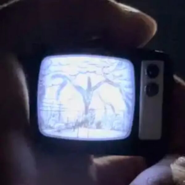 Stranger things LED Keychain Fun Party & Backpack Accessory