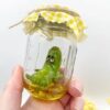 Mini Moody Pickle Ornament