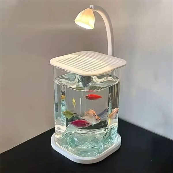 Mini Desktop Glass Aquarium Fish Tank