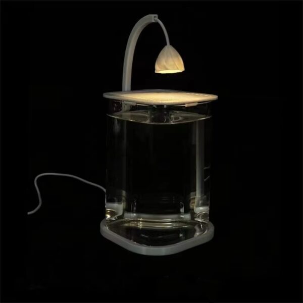 Mini Desktop Glass Aquarium Fish Tank